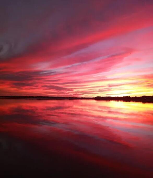 Paradise On Lake Harris Apt #202 Leesburg Dış mekan fotoğraf